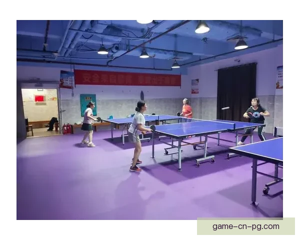 全方位掌握乒乓球技巧，从零基础到高级教学全覆盖