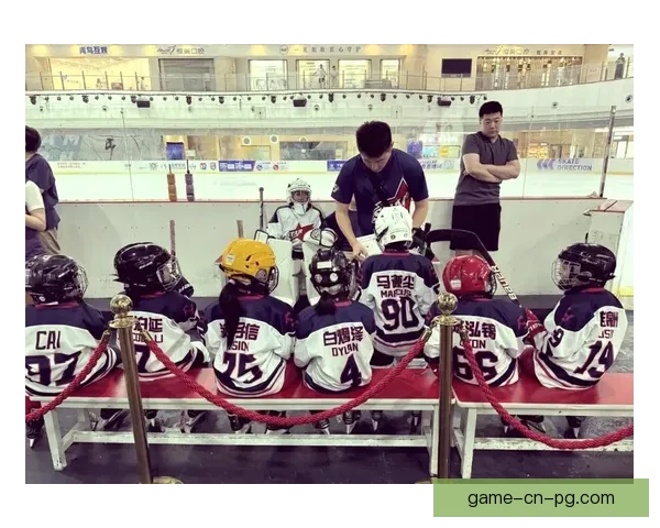 冰球公开赛：挑战与荣耀共追寻