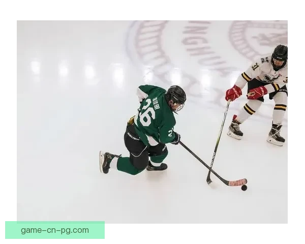 冰球比赛规则及技巧全面解析