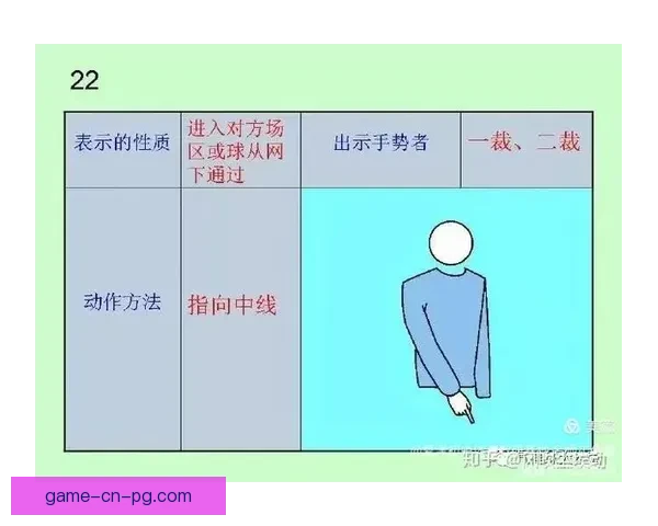 排球规则详解与技术指导