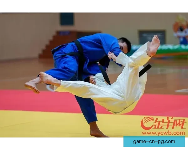 柔道领域引领世界纪录大挑战