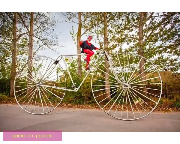 自行车数据分析：骑行趋势与健康关联研究