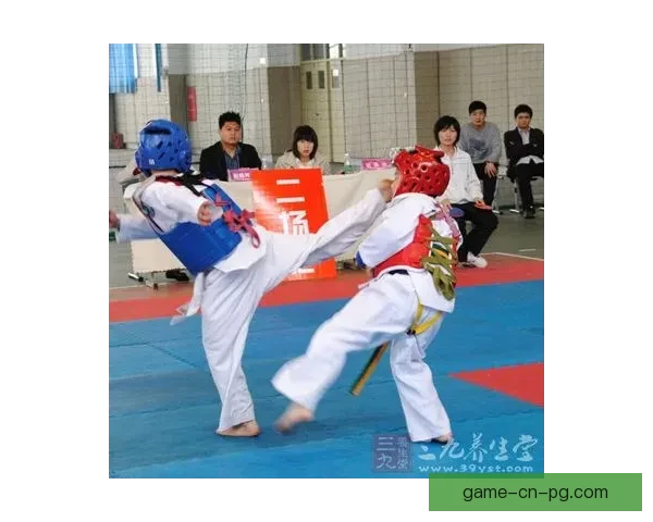 跆拳道的起源与演变，传承与发展