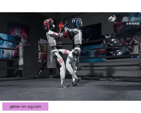 震撼回顾：拳击赛事全程回放