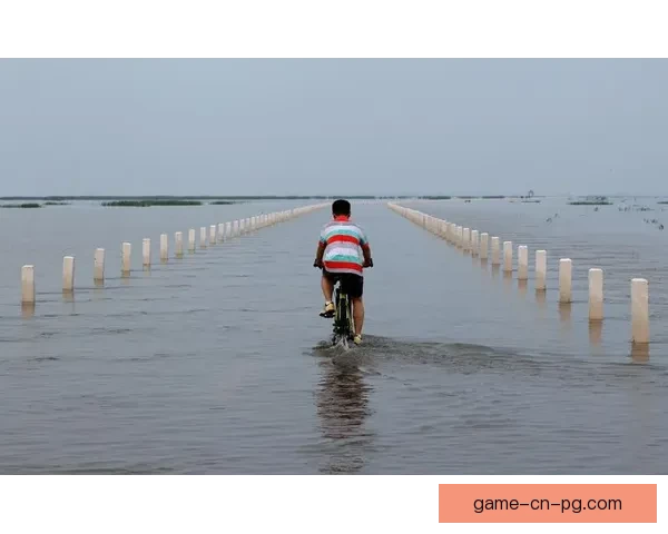 铁人三项训练秘籍：挑战极限，强身健体